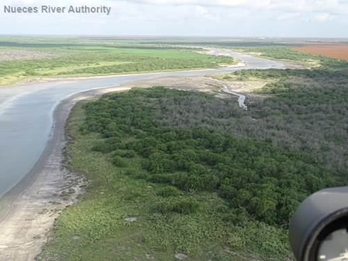 Petronila and San Fernando creeks watershed. Photo by the Nueces River Authority.